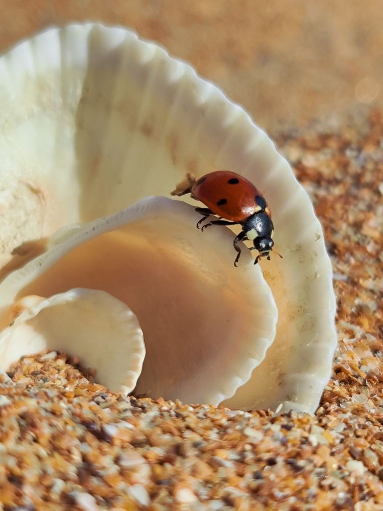 Photograph by Олеся Хижко