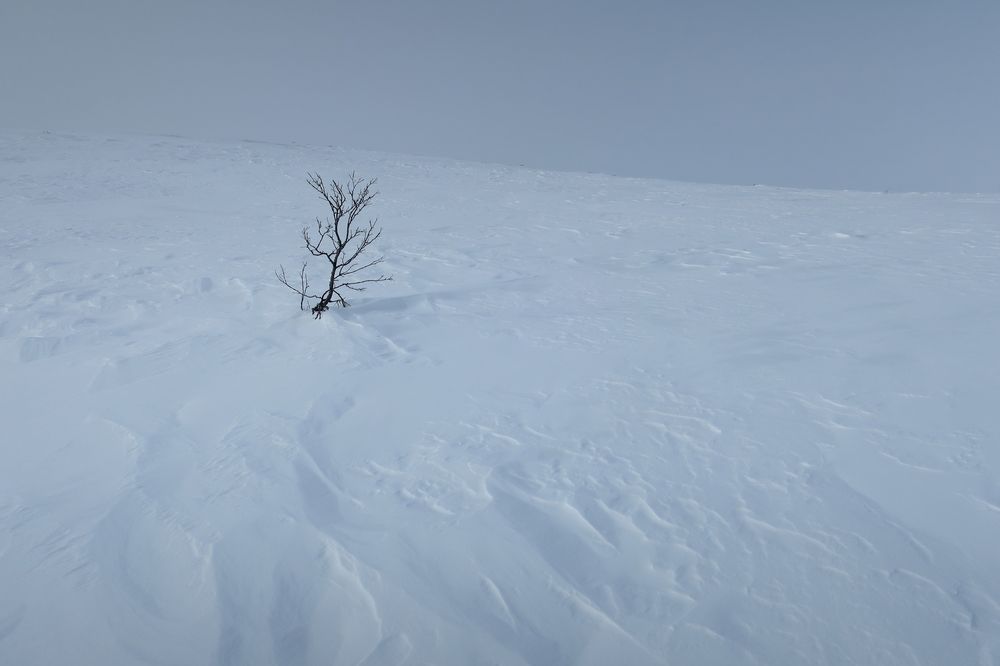Photograph by Евгений Распопин