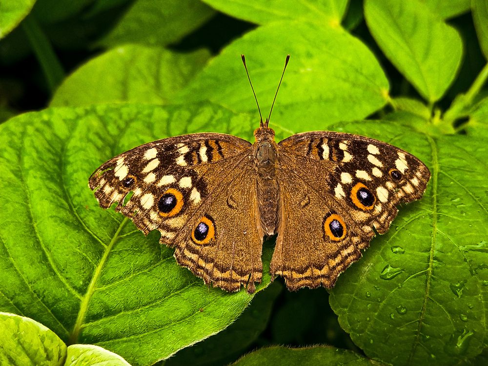 Photograph by sumit sitole