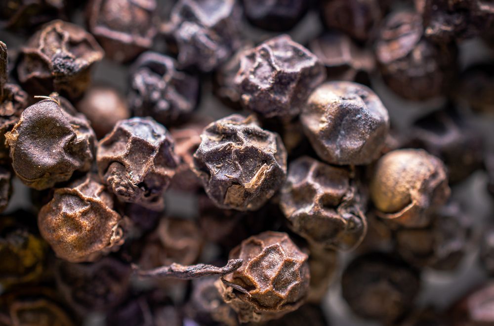 Black pepper