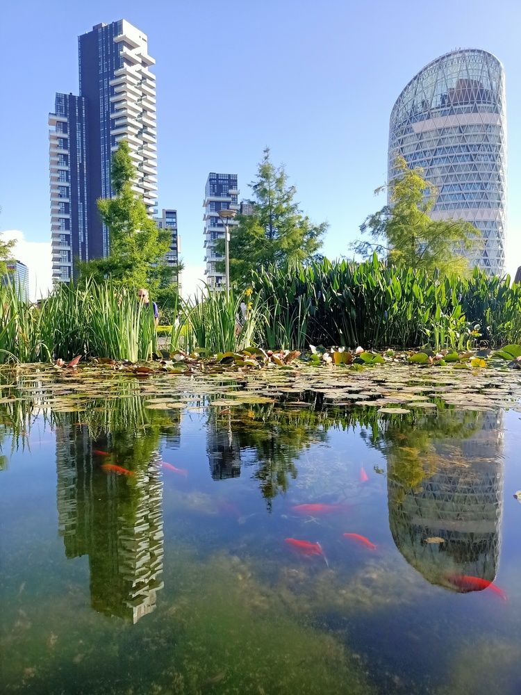 Photograph by MariaVittoria Amoruso