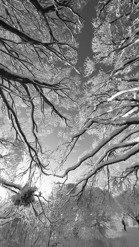 Photograph by ANDREY PERESHEIN