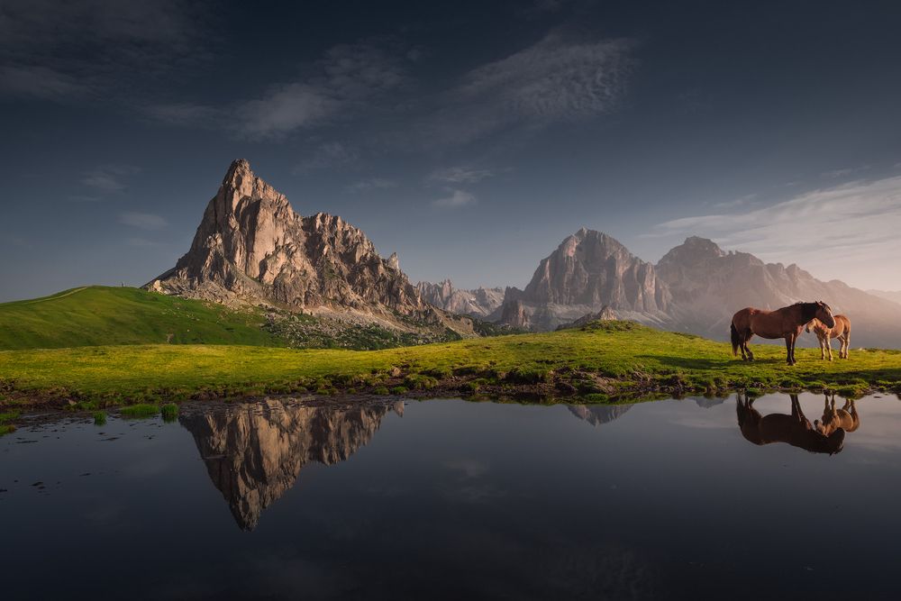 Photograph by Karádi Zita