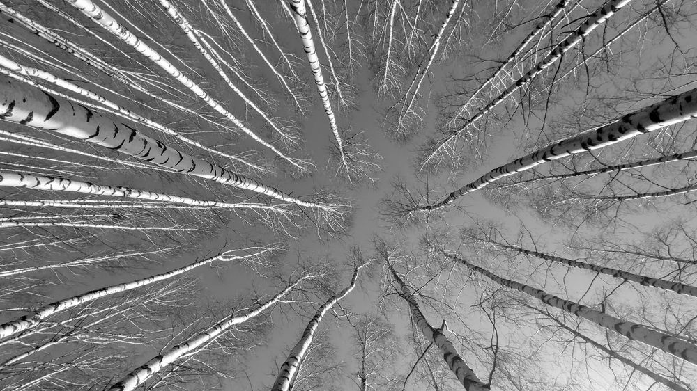 Photograph by ANDREY PERESHEIN