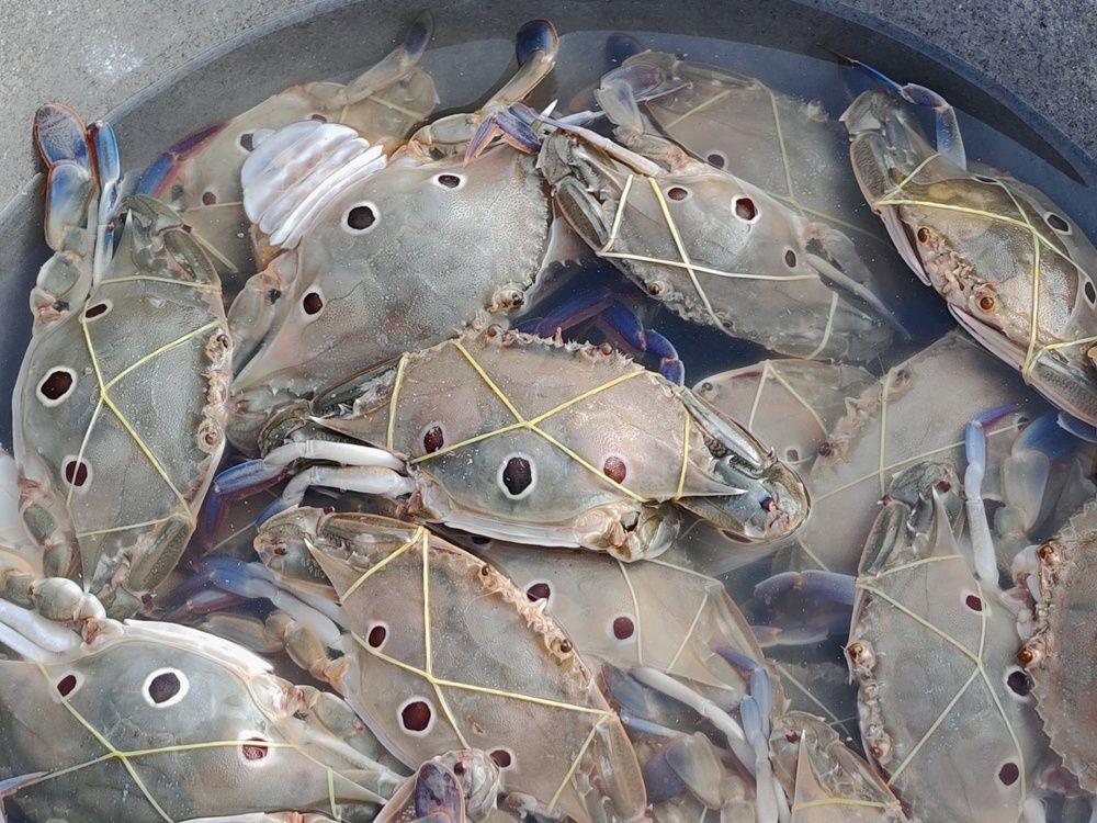 Photograph by Arik Chan