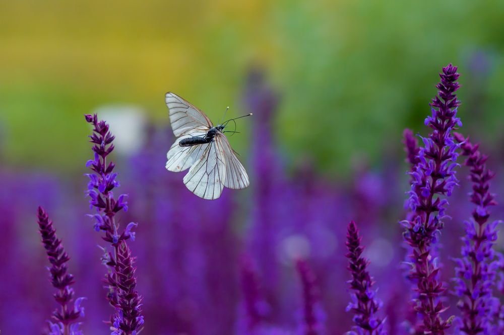 Photograph by Николаев Андрей