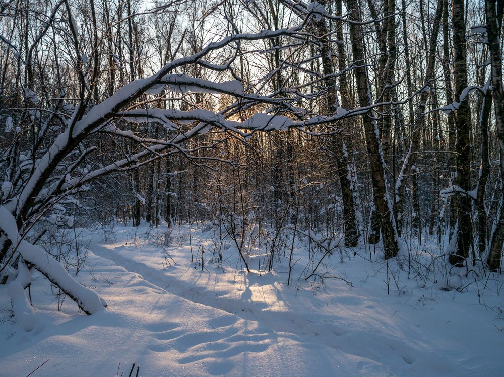 Photograph by Михаил Шохин