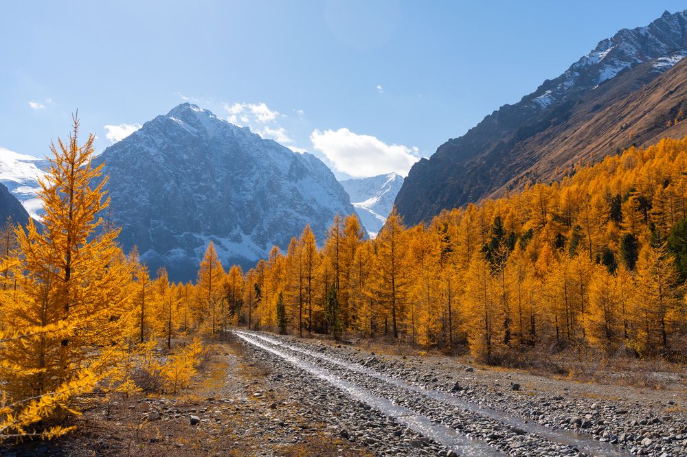 Photograph by Михаил Азаров