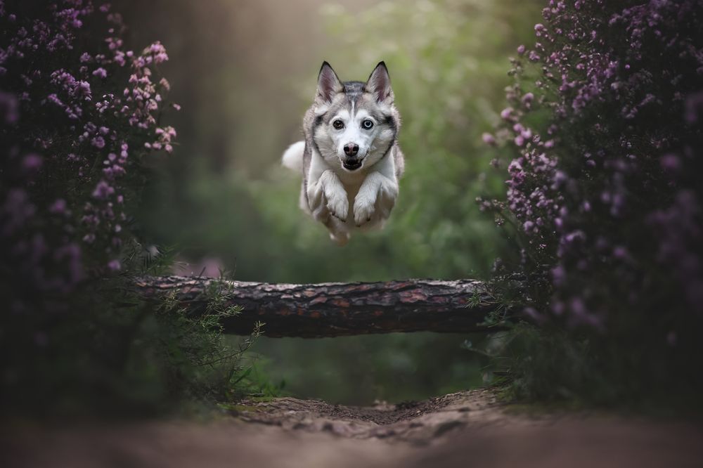 Фотография автора Rut Casanellas