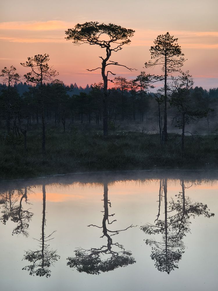 Photograph by Михаил Азаров