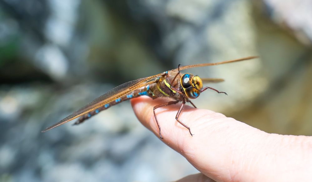 Фотография автора Рыболов Андрей