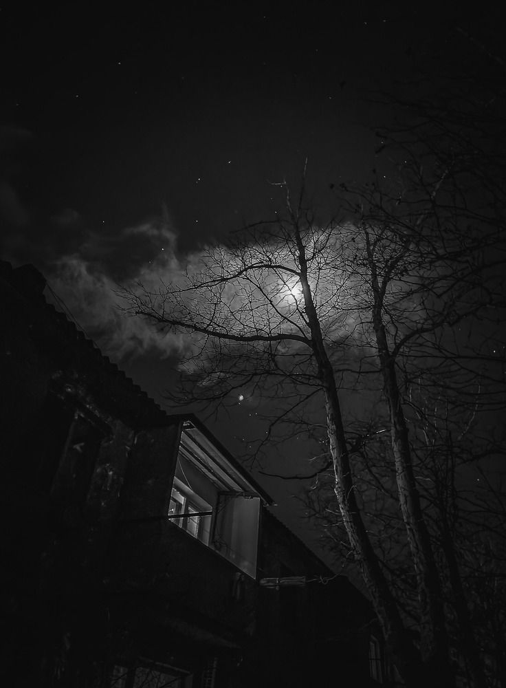 Photograph by Евгений Андреев