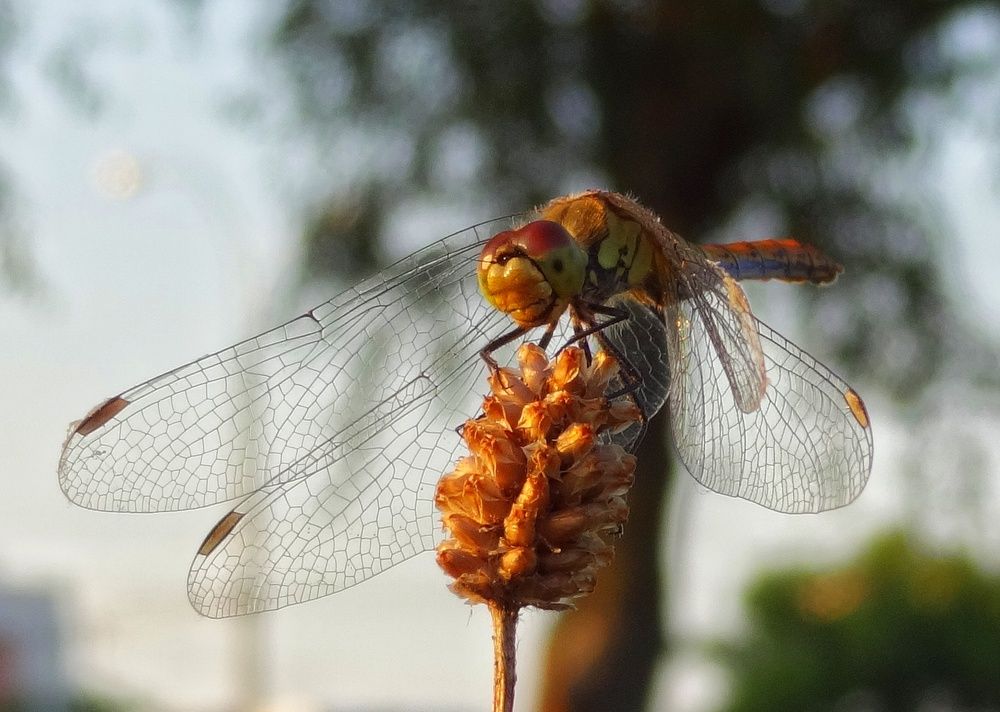 Фотография автора Геннадий Ломеко