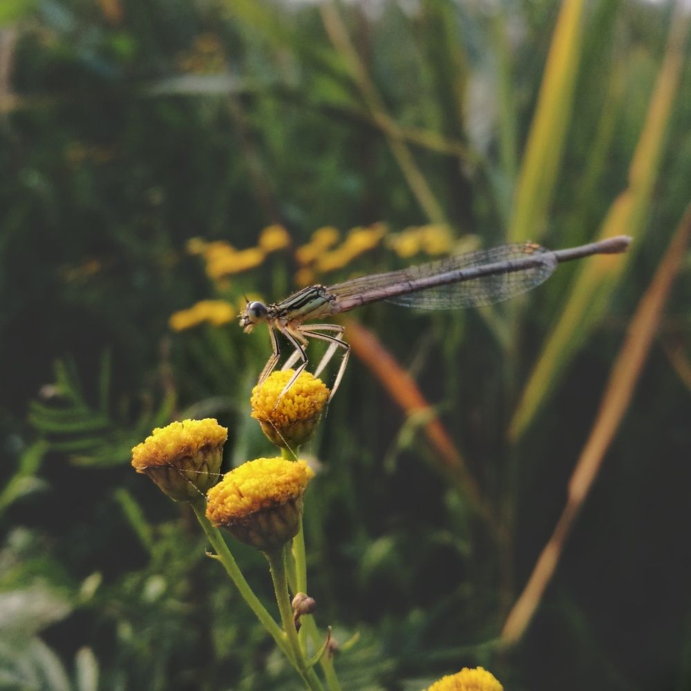 Фотография автора Геннадий Ломеко