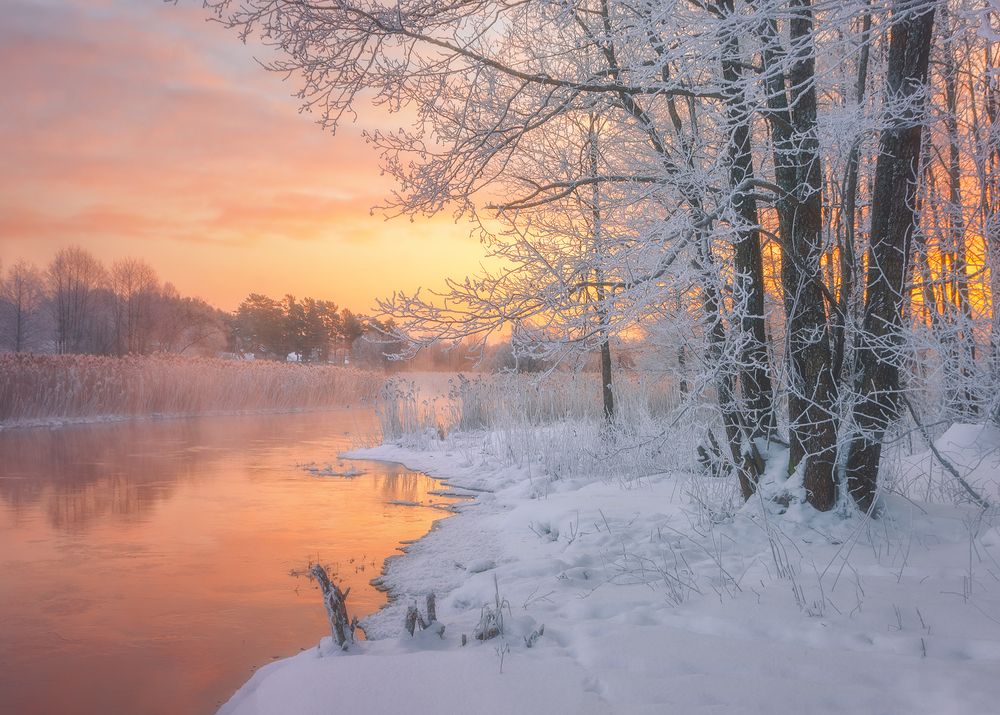 Фотография автора Andrew Kuzmin