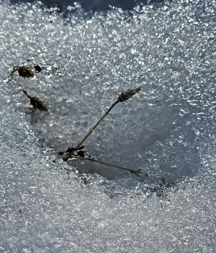 Photograph by Наталья Баранова