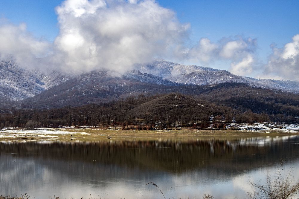Photograph by Reza Zanganeh