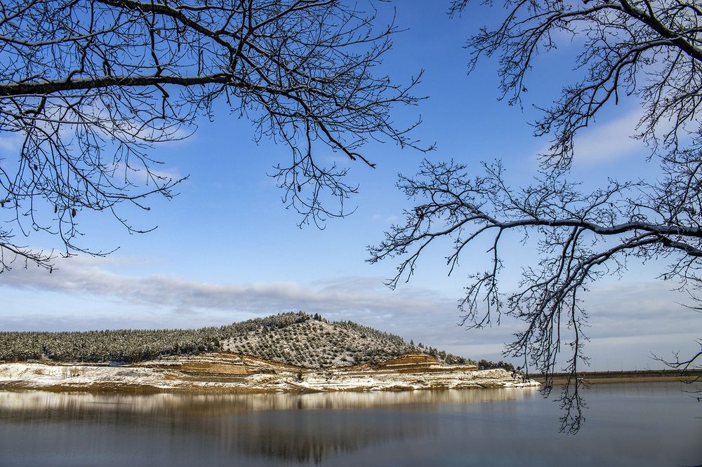 Photograph by Reza Zanganeh