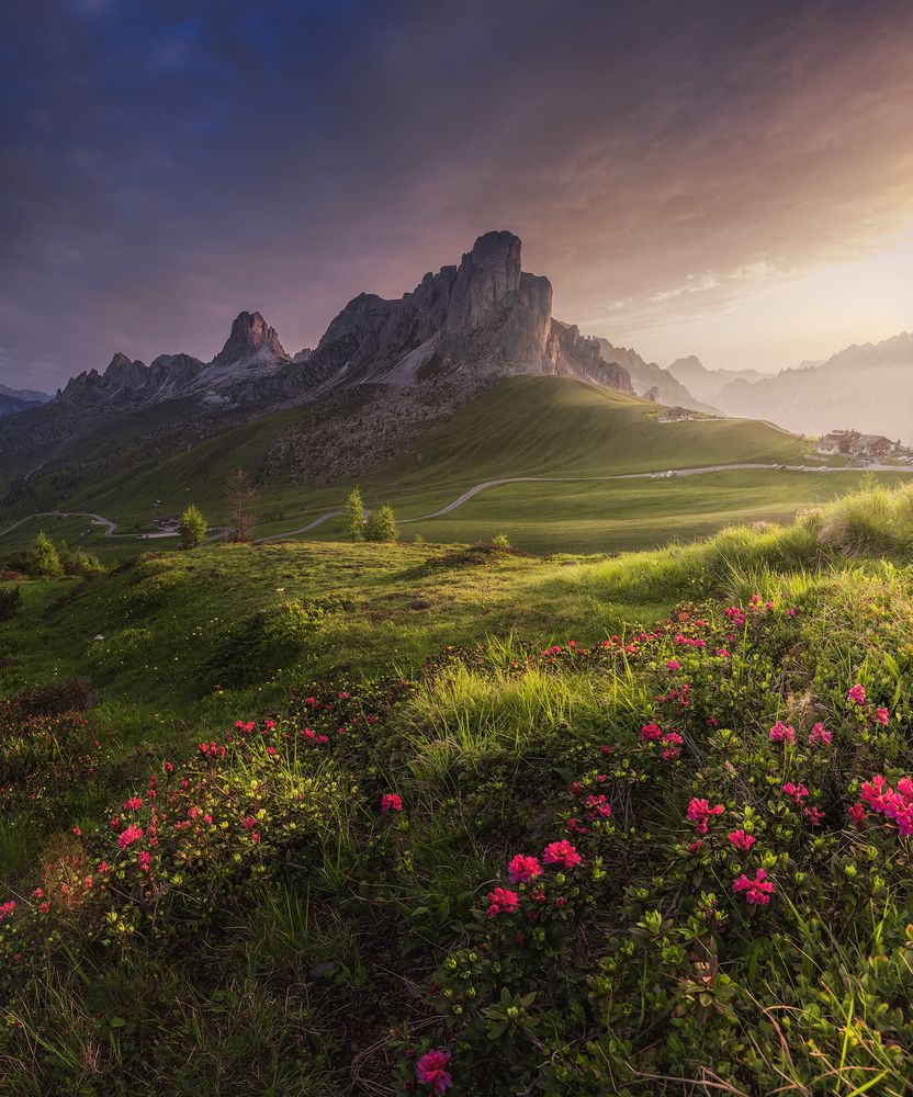 Photograph by Karádi Zita