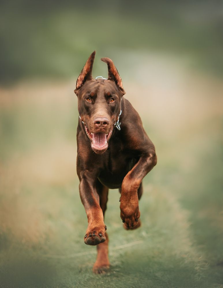 Photograph by Мария Клещенко