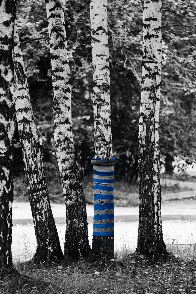 Фотография автора Георгий Петров