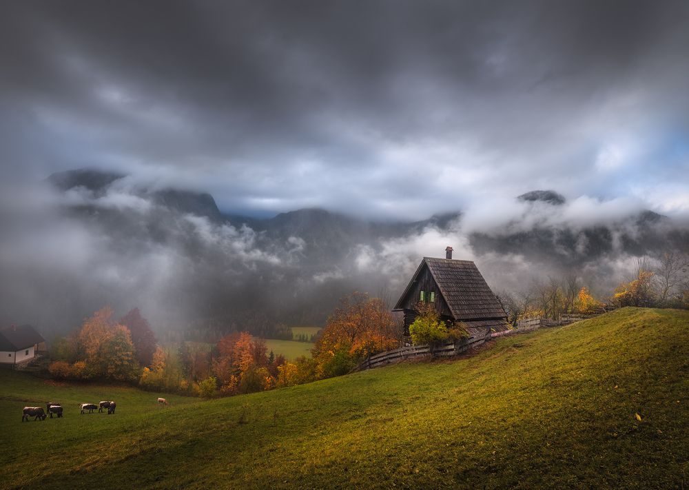 Photograph by Karádi Zita