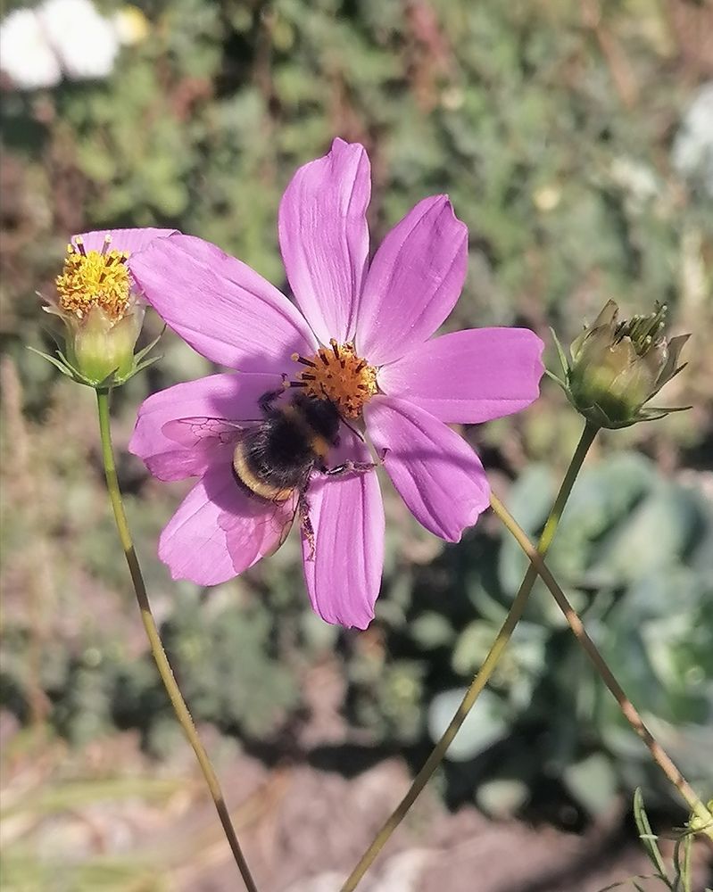 Photograph by Татьяна