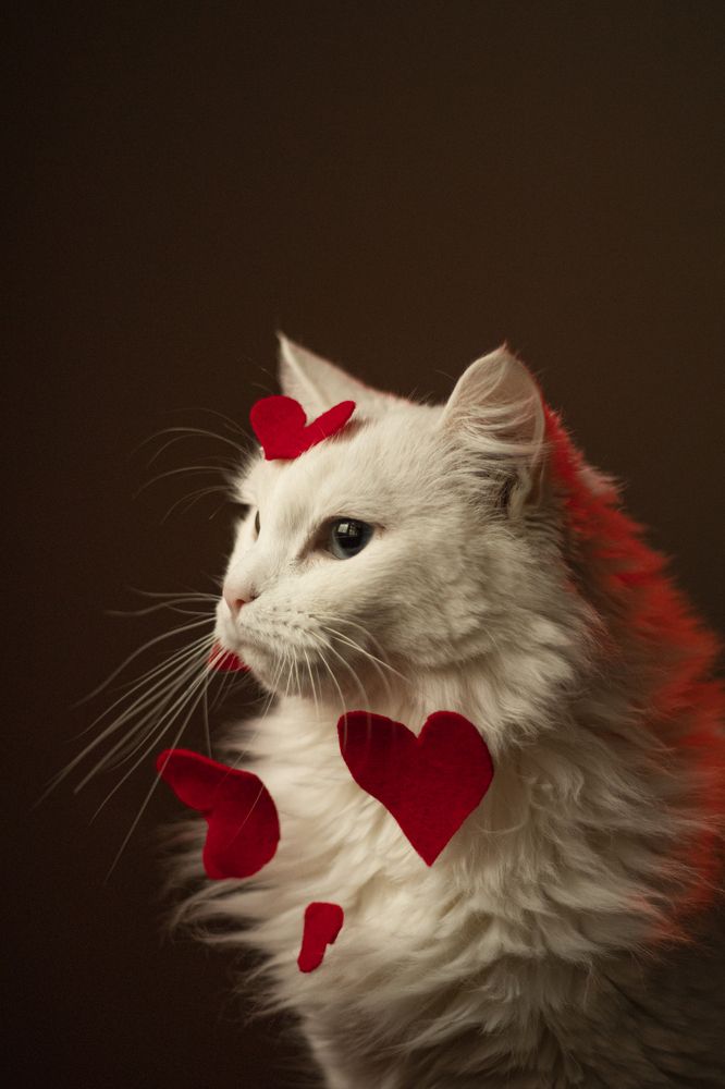 Photograph by Анастасия Слободская