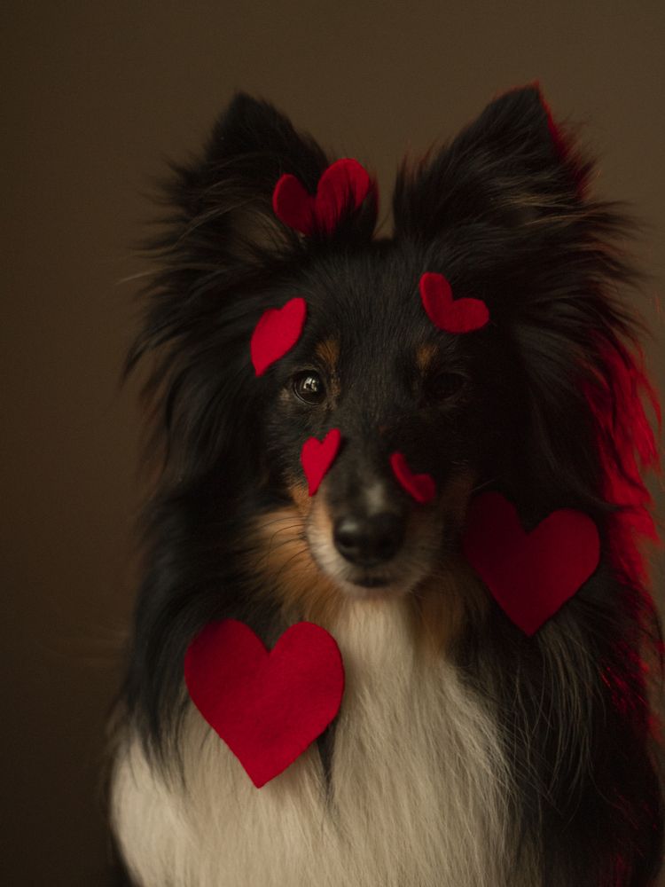 Photograph by Анастасия Слободская