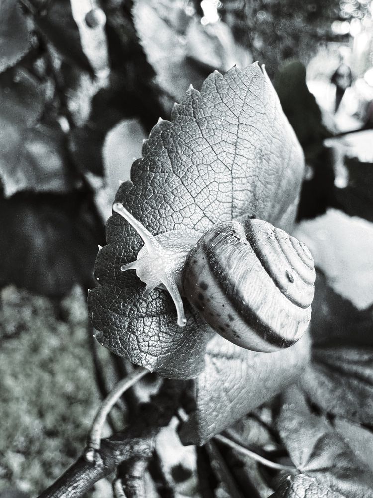 Фотография автора Келлер Ольга