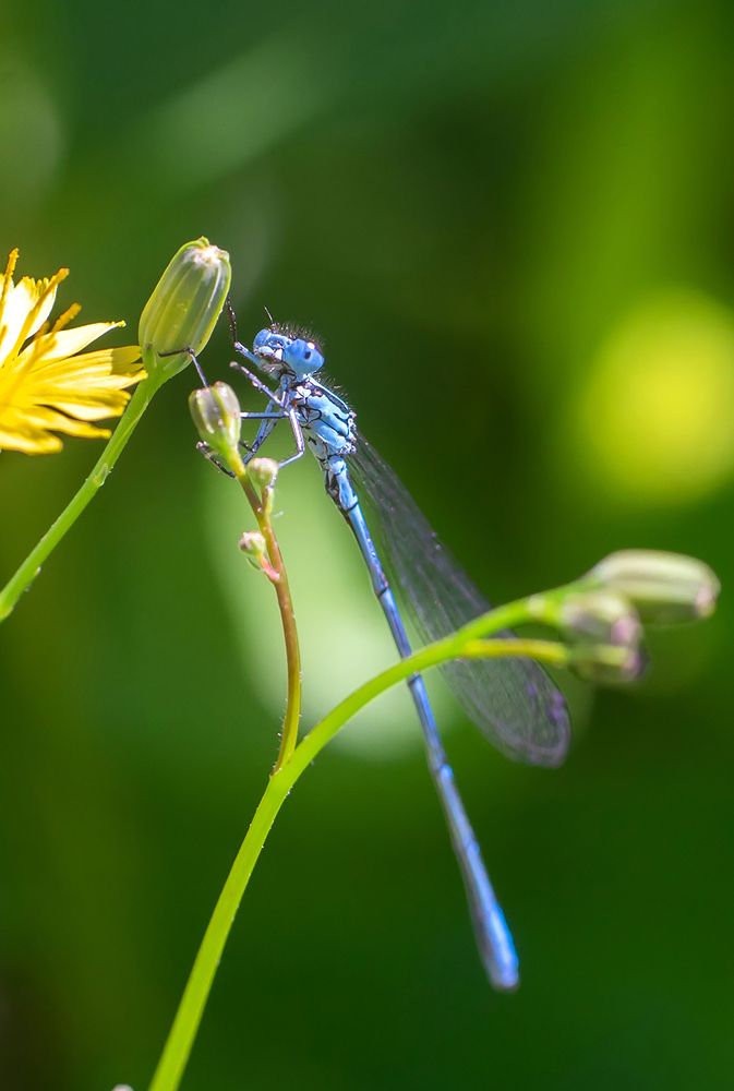 Фотография автора Рыболов Андрей