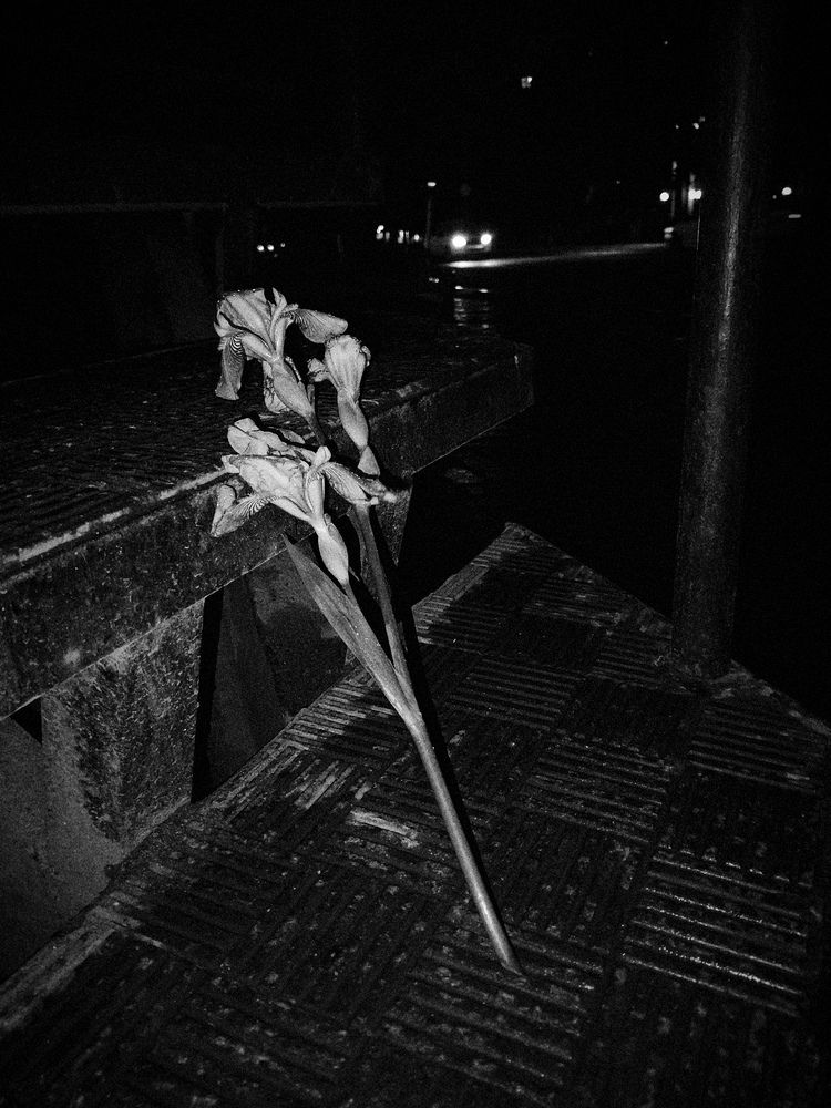 Фотография автора Георгий Петров