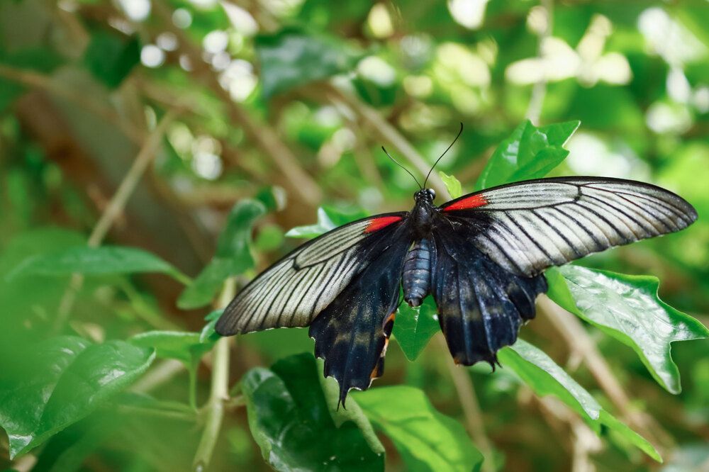 Фотография автора Светлана Долотова