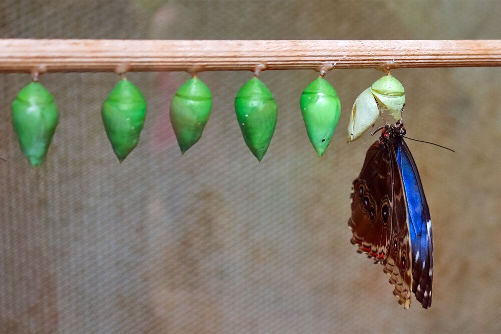 Фотография автора Светлана Долотова