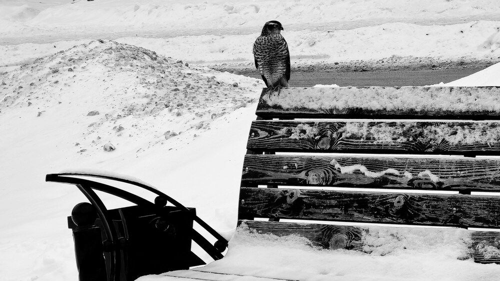 Сижу себе никого не трогаю.