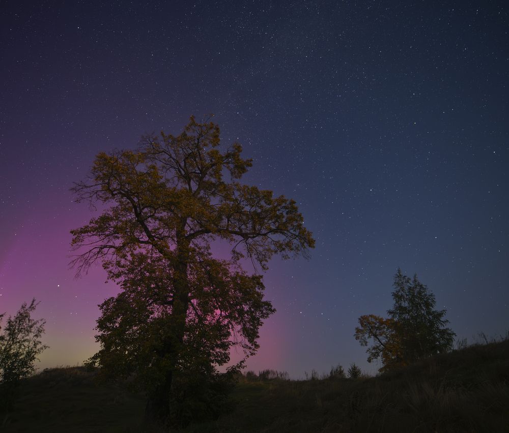 Photograph by Закаляпин Денис