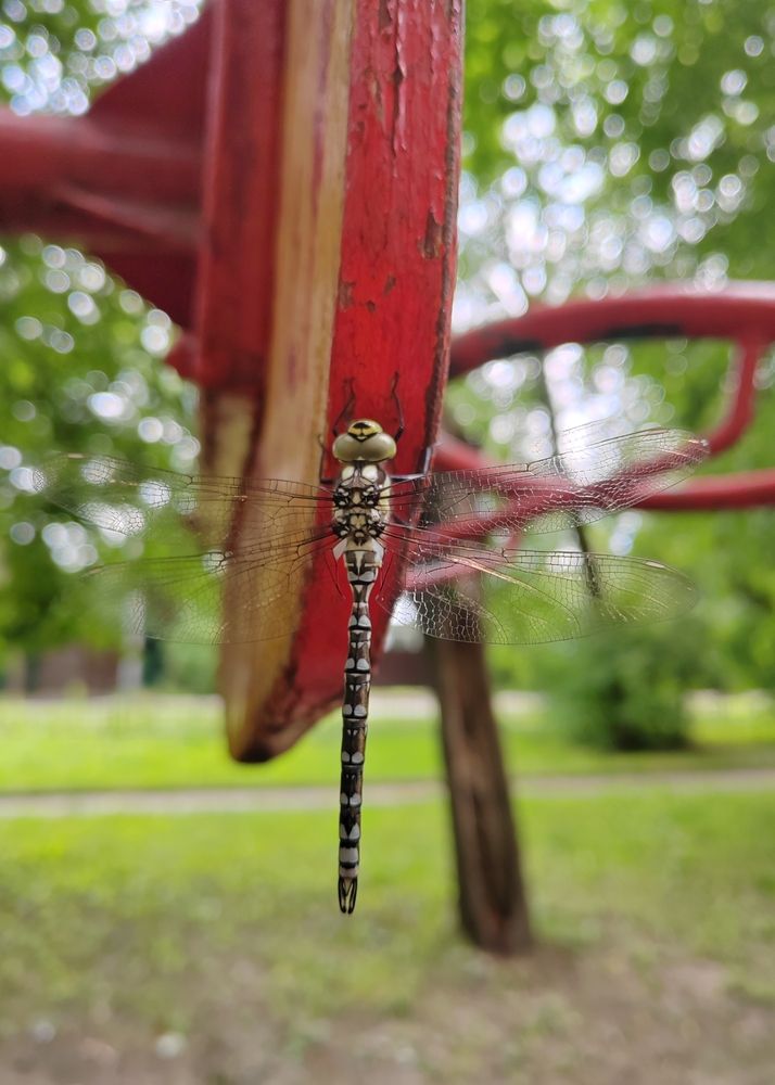 Фотография автора Татьяна Егорова