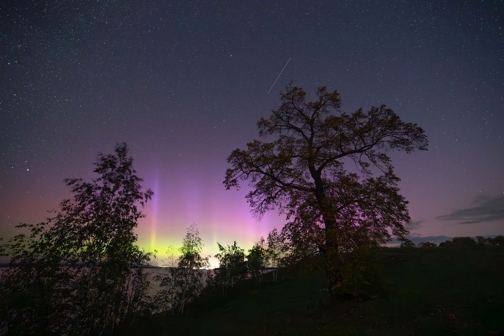 Photograph by Закаляпин Денис