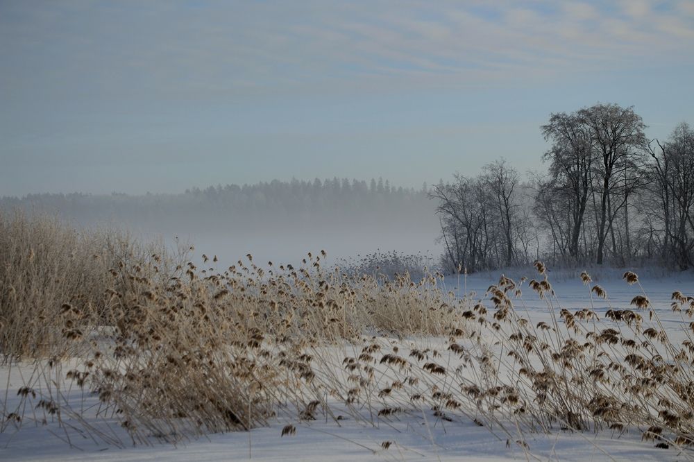 Фотография автора Ольга