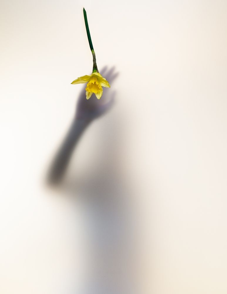 Photograph by Gregory Klosok