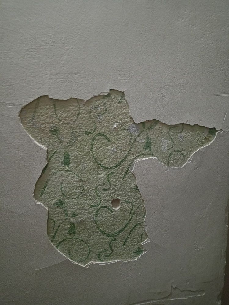 Photo #11880965