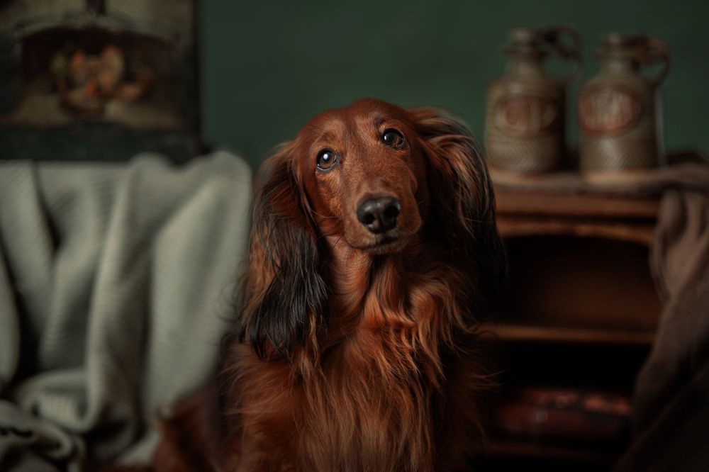 Photograph by Goené Gertrude