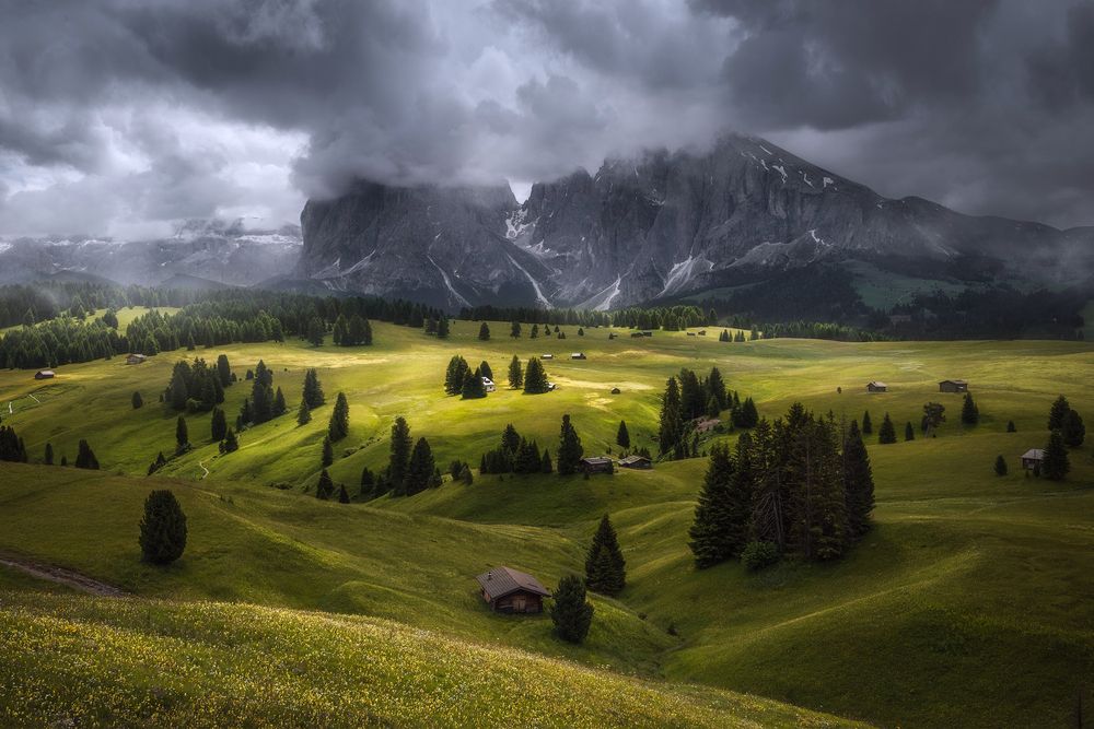 Photograph by Karádi Zita