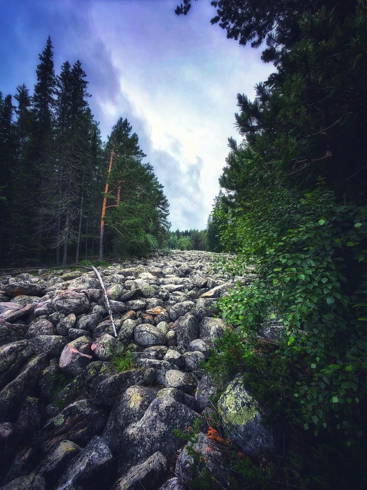 Photograph by Сергей Зайцев