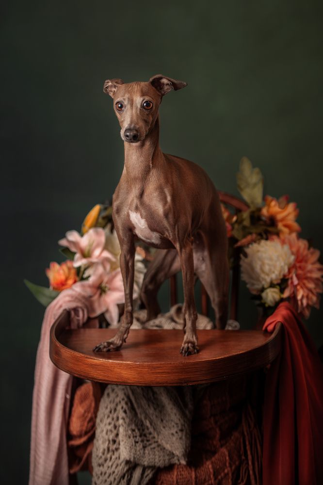 Photograph by Goené Gertrude