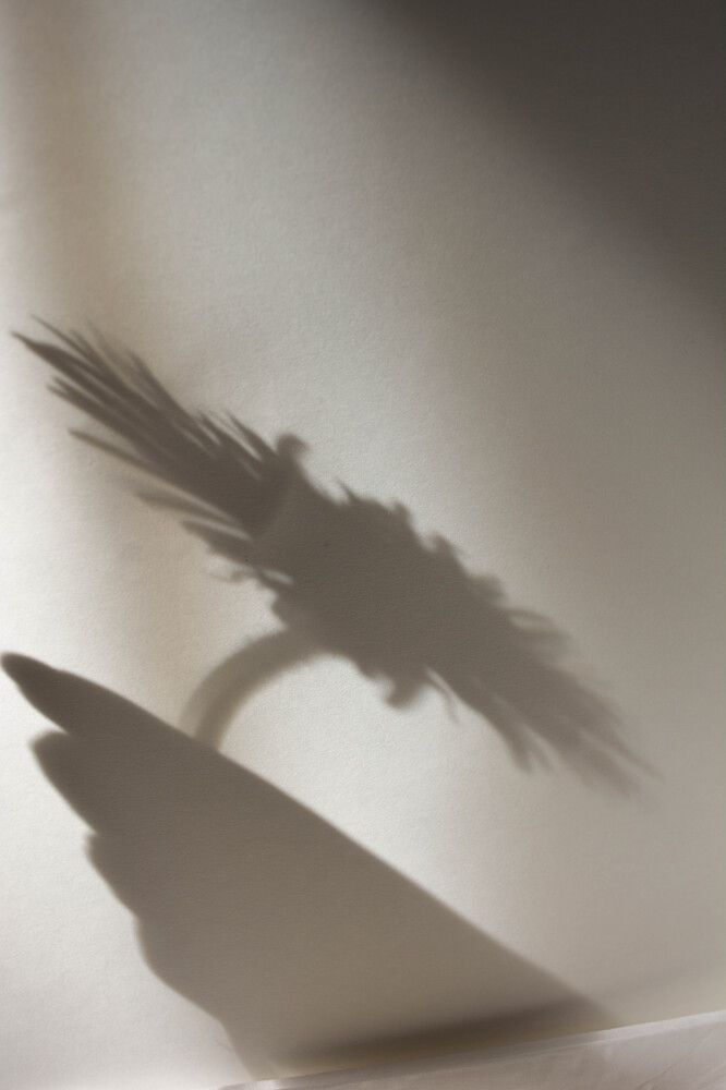 Фотография автора Ирина Дашевская