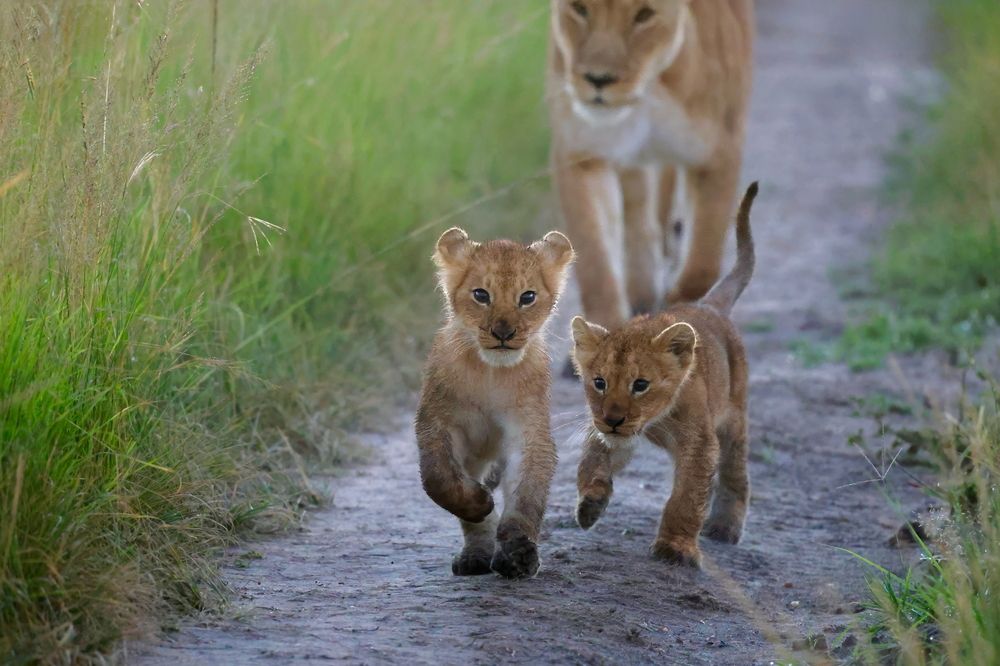 Photograph by Sanjay Risbood