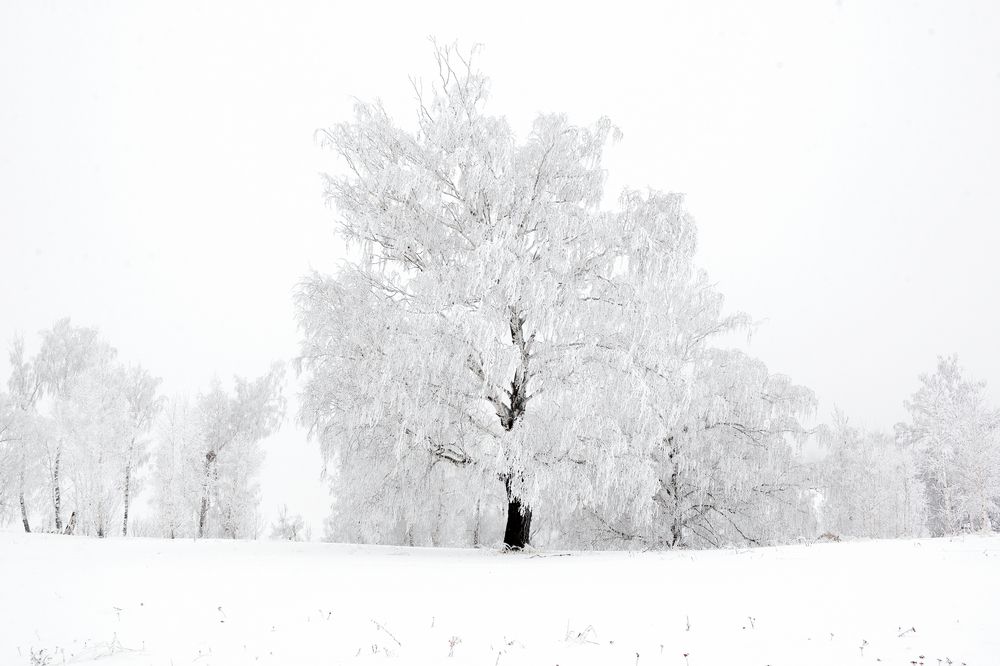 Фотография автора Рамиль Фаттахов