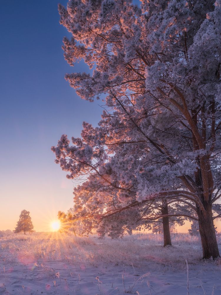 Photograph by Леонтьев Константин