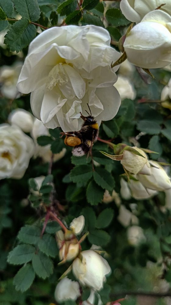 Фотография автора Татьяна Могилевцева
